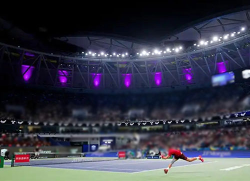 武城县体育比赛